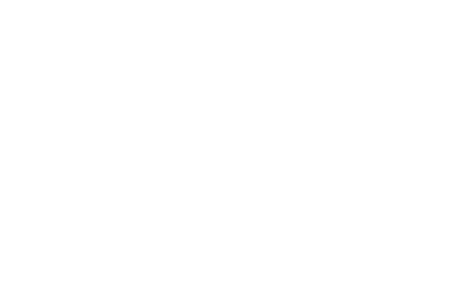 New Buffalo Shirt Factory